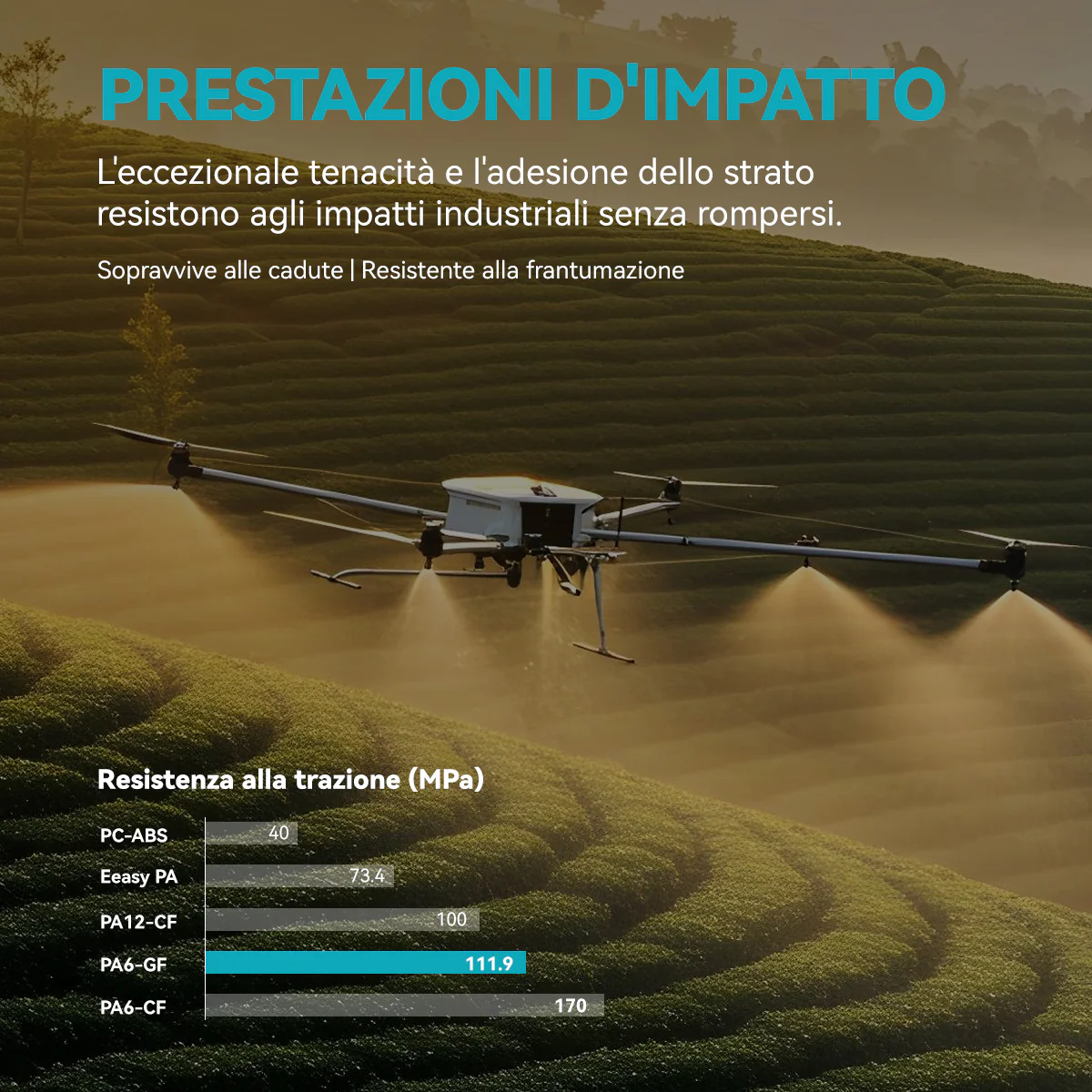 Immagine prodotto 6